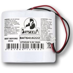 Pile Lithium BAT30289 6V-1500mAh